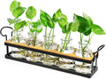 THYGIFTREE Plant Propagation Stations with Metal Stand, Tabletop Plant Terrarium for Propagating Hydroponic, Retro Glass Planter Flower Vase Home Kitchen Office Decor Gifts, 5 Jars