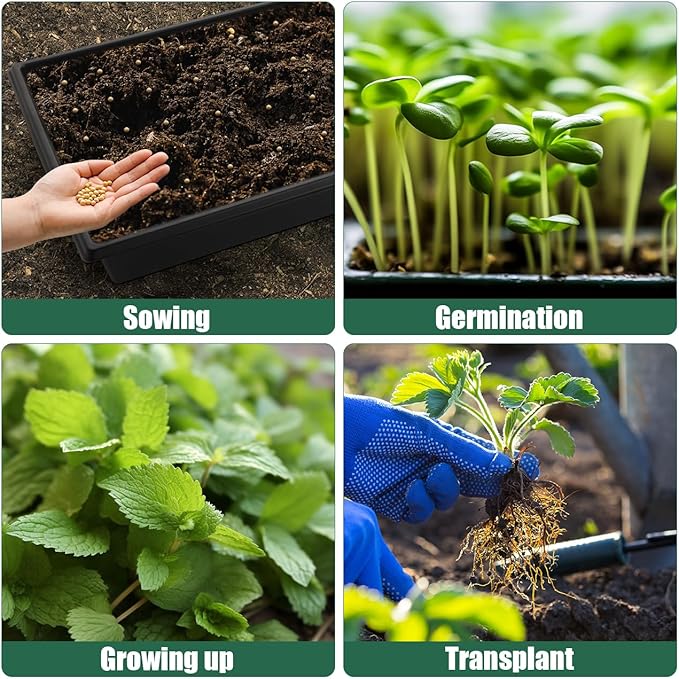 RooTrimmer Seed Starter Kit - 10 Pack 1020 Seed Trays with 2 Seedling Heat Mats for Plants (10"x20.5"), Complete Seed Germination Kit for Indoor Gardening, Greenhouse Accessories Gardening Gifts
