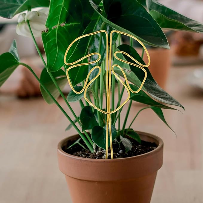 Monstera Plant Support Trellis Gold Alloy Climbing Plant Stake Climbing Holder