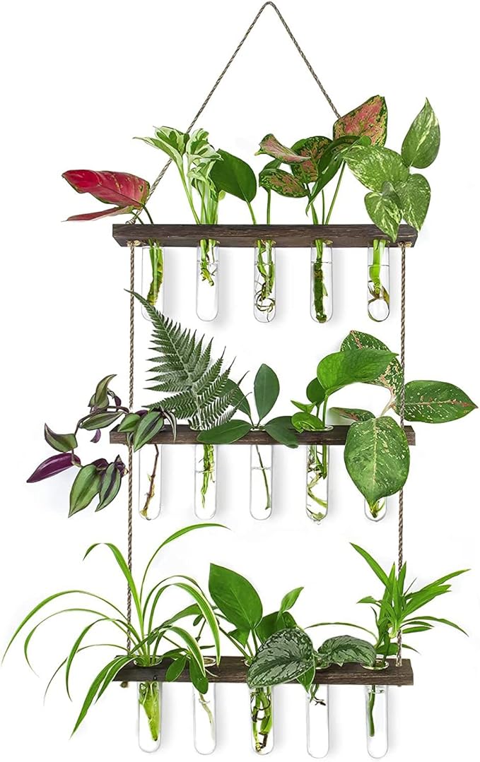 Propagation Station, Plants Terrarium, Plants Lover Gifts for Women,Plant Cutting Holder Home décor,Gifts for Women,House Warming New Home-15 Tubes-Brown
