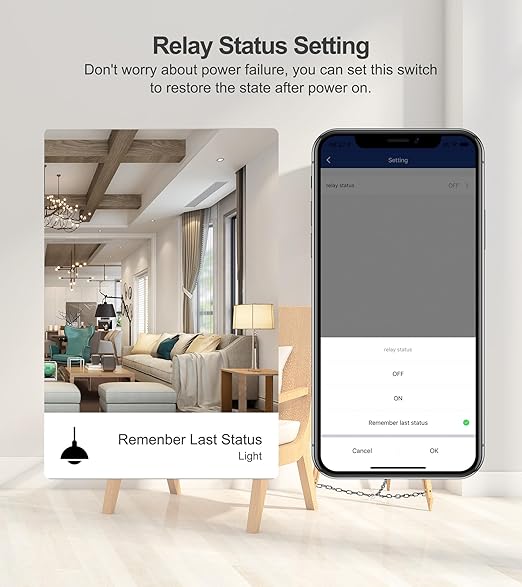 1CH Dry Contact WiFi Relay Switch Module,DC 12/24V AC 100-240V,Tuya Smart Life app,Compatible with Alexa,Google Home