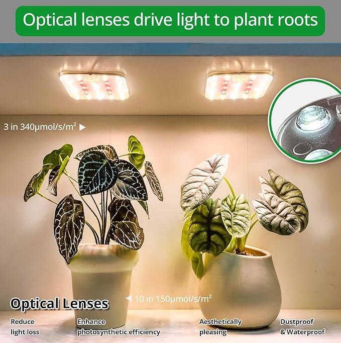 DOMMIA Full Spectrum LED Grow Light for Indoor Plants, 2 Panels 10W with 6/12/16h Timer Dimmable Plant Lights for Flower Veg Plant Growth USB, Warm White, 2-Pack