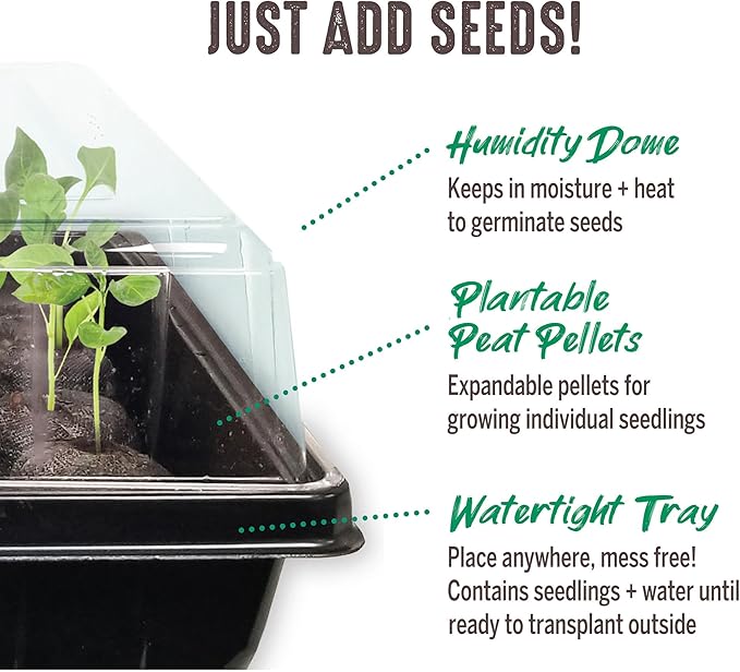 Jiffy Seed Starting Tray Kit - 36 Cell Germination Tray, Portable - 2 Pack, 72 Pellets - Plastic