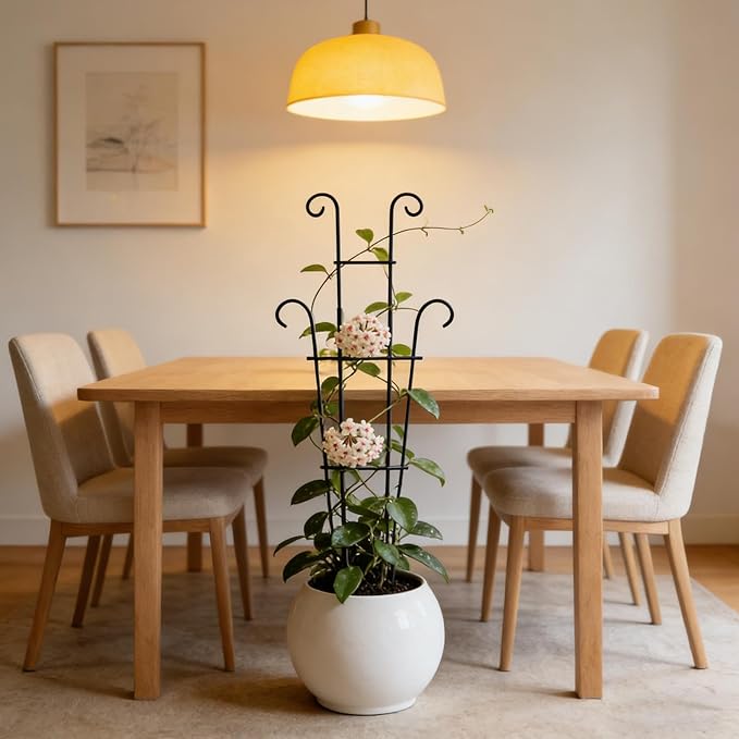 Plant Stakes - Adjustable Metal Trellis, Garden Plant Support, Vertical Stem Holder | Rust-Proof Monstera Ivy Cucumber Bean Flower Pot Trellis for Indoor Outdoor Planter Vegetable Fruit Gardening