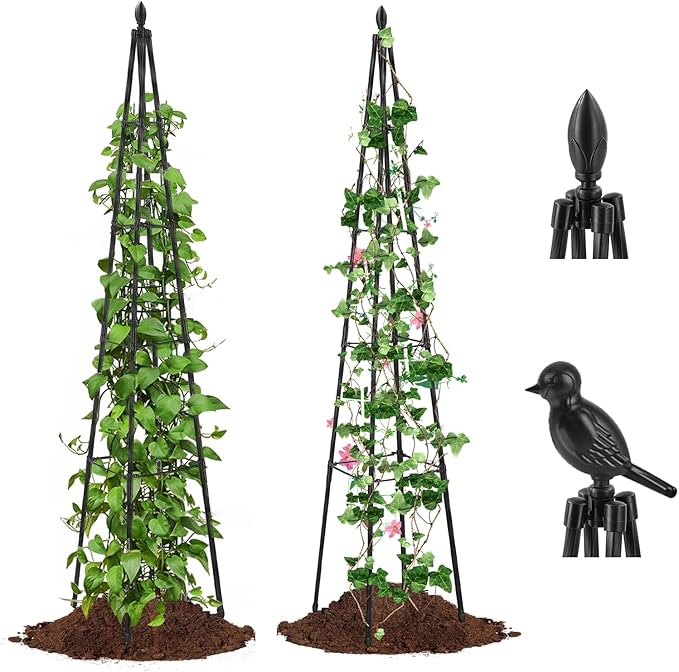 AlisisFores 2 Pack Garden Trellis for Climbing Plants Outdoor,63inch Tall Rustproof Metal Obelisk Trellis Support for Potted Vines Vegetable Plants Indoor Outdoor, Lightweight