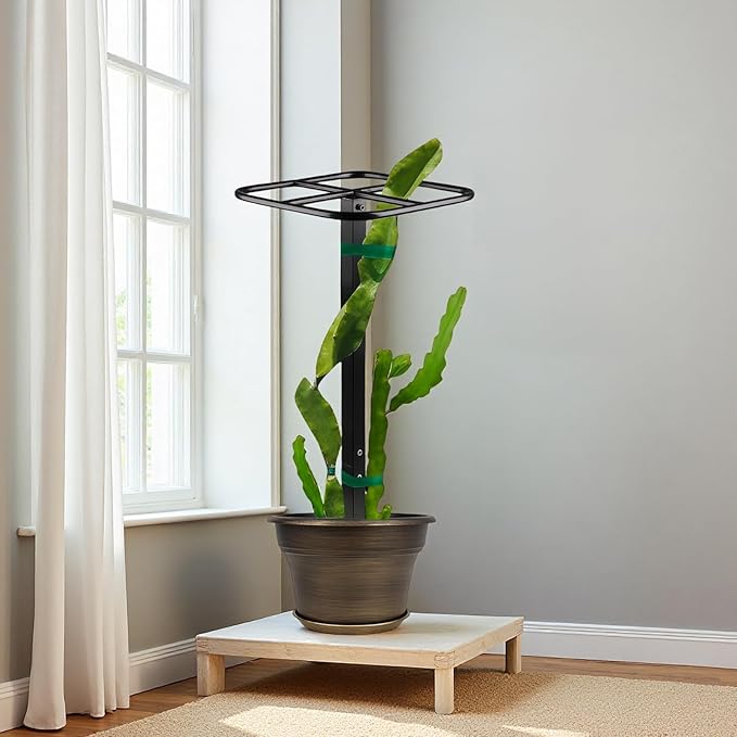 Dragon Fruit Metal Trellis, Cucumber Vertical Garden Support Frame, Climbing Plant Stand for Indoor/Outdoor Use