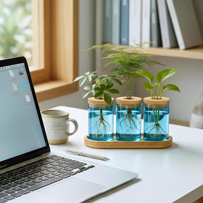 Dahey Blue Plant Propagation Terrarium Desktop Glass Planter Station Water Planting Glass Vase with Lid and Wooden Stand for Propagating Hydroponic Plants Centerpiece Office Home Garden Decor, 3 Pcs