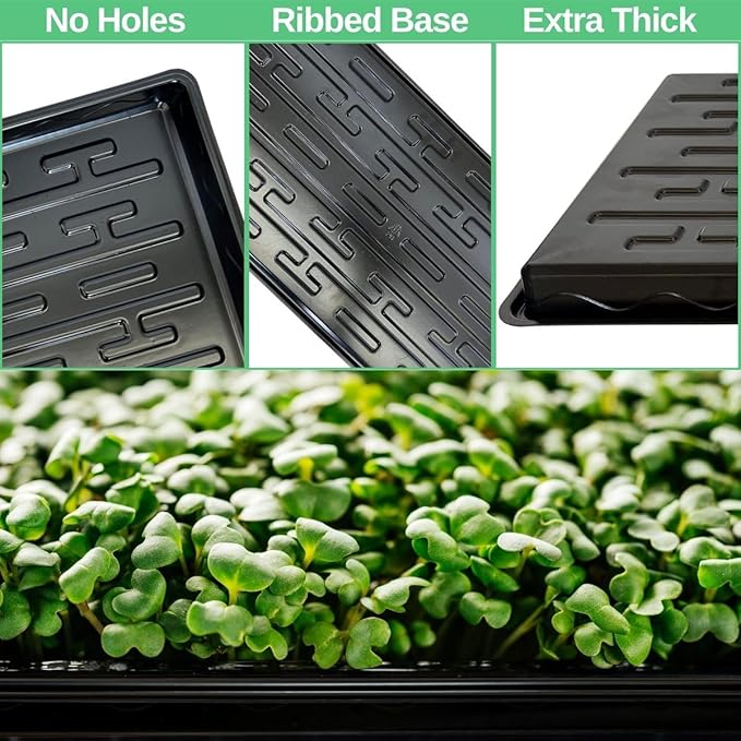 Shallow 1020 Nursery Flat Trays -10 Pack, 1.8" Height, Specialized for Holding 72-Cell Plug Seedling Trays, No Holes, Ideal for Seed Starting and Planting