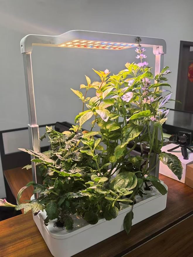 12 Pods Indoor Garden Hydroponics Growing System,24W LED Grow Light,6.5L Water Tank,Pump System,Automatic Timer Smart Vegeable and Fruit Grow Garden Kit,White