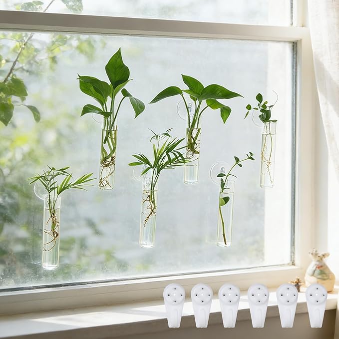 Bunmery 6 pcs Window Propagation Stations, Plant Propagation Tubes with suckion Cups & Nails, Easy to Install Wall Hanging Planter Propagation Station, Glass Plant Terrarium Vase
