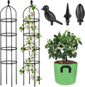 Garden Obelisk Trellis for Climbing Plants Outdoor 6 Ft Rose Bush Round Trellis with Grow Bag for Pots Rustproof Metal Pipe with Plastic Coated Plant Flower Trellises for Clematis Vine Jasmine Support