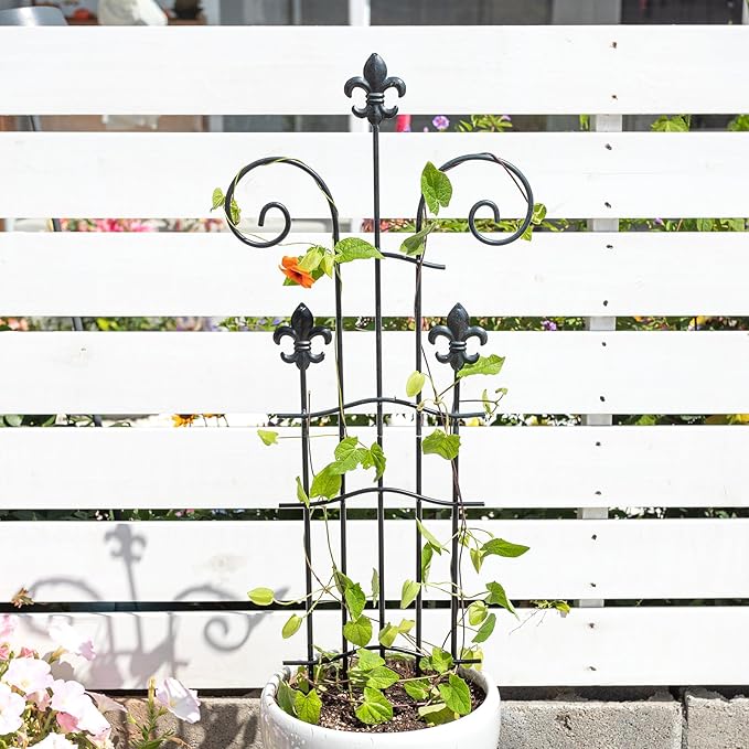 31" Trellis for Climbing Plants Indoor - Heavy Duty Metal Support for Potted Plants, Ideal for Vining Plants, Perfect for Tall Monstera & Houseplants, for Gardeners & Plant Lovers