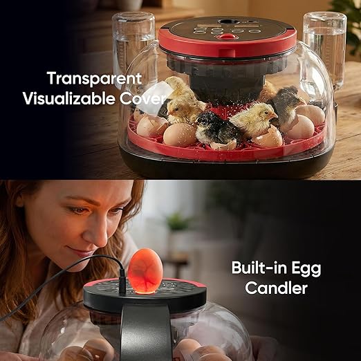 Incubators for Hatching Eggs, 12-24 Egg Smart WiFi Incubator with 1080P Camera, App Control, One-Click Incubation for Chicken Quail Duck Pigeon, Auto Egg Turner, External Water Refill, Candler