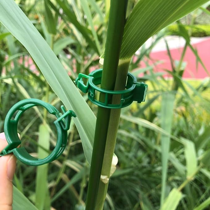 50 Pcs Plant Support Clips, Tomato Clips for String Trellis, Reusable Garden Clips for Climbing Plants, Vine Clips for Stems and Trellis Netting, Plastic Plant Clip for Garden Supplies (Green)