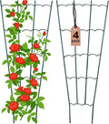 HiGift 4 Pack 24'' Plant Trellis for Climbing Plants Indoor, Outdoor Metal Garden Trellis for Climbing Plants, Metal Plant Stakes Plant Trellis for Houseplant Vine Ivy Flowers
