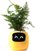 PLANTSIO Smart Pet Planter AI-Powered Smart Vases with Emoji Plant Care Guidance, Adorable Gesture Interaction, Modern Home Vase/Decoration Vase for Bedroom & Desk (Yellow)