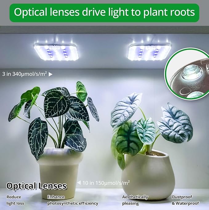 DOMMIA Full Spectrum LED Grow Light for Indoor Plants, 2 Panels 10W with 6/12/16h Timer Dimmable Plant Lights for Flower Veg Plant Growth USB, Bluish White, 1-Pack