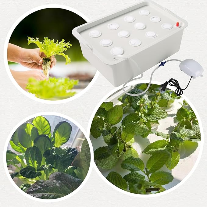 NATGAI Hydroponic System Growing Kit with Air Pump 12 Holes Soilless Cultivation Grow Box Garden Cabinet Box for Herbs, Lettuce, Vegetables
