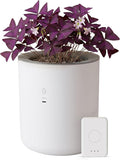 Smart Self Watering Planter with WiFi Bridge & App Control – AI Plant Care System with Sensors, Automatic Watering, Alerts – Modern Indoor Planter for Houseplants