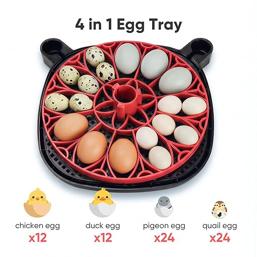 Incubators for Hatching Eggs, 12-24 Egg Smart WiFi Incubator with 1080P Camera, App Control, One-Click Incubation for Chicken Quail Duck Pigeon, Auto Egg Turner, External Water Refill, Candler