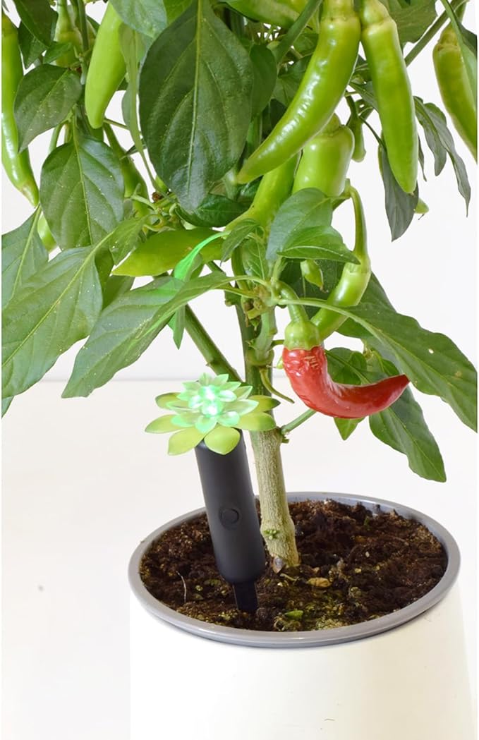 Tall Plant Alarm - Inserts 7" into Soil - Automatic Warning