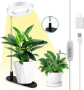 LORDEM Plant Grow Light, Full Spectrum Halo Desk Light, Height Adjustable 7.8"-26", LED Growing Lamp, Automatic Timer 4H/8H/12H, 4 Level Dimmable, Ideal for Indoor Plants, White, 1 Pack