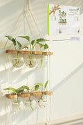 Renmxj Plant Propagation Station Wall Hanging, Plant Terrarium with 2 Tiered Wooden Stand for Hydroponics Plants, Unique Gardening Gifts for Women Mom Plants Lovers - 6 Bulb Glass Vases