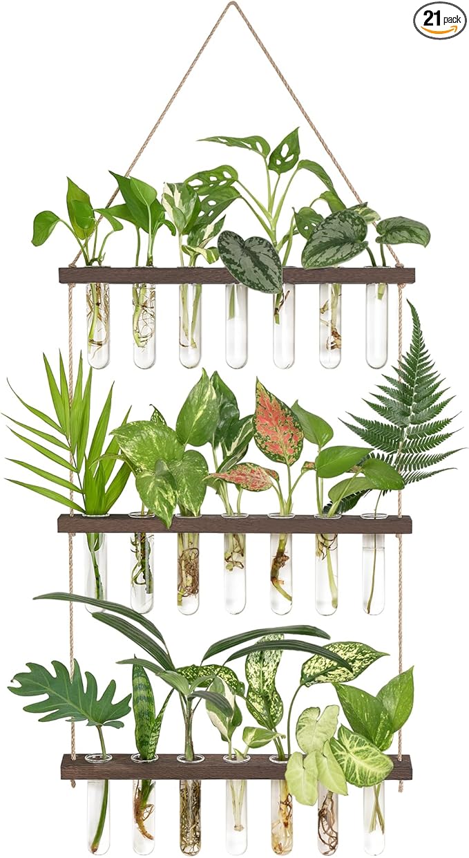 Mkono Plant Propagation Tubes, 3 Tiered Wall Hanging Terrarium with Wooden Stand & 21 Test Tube Vases for Hydroponic Plant Cutting & Home/Office Decor