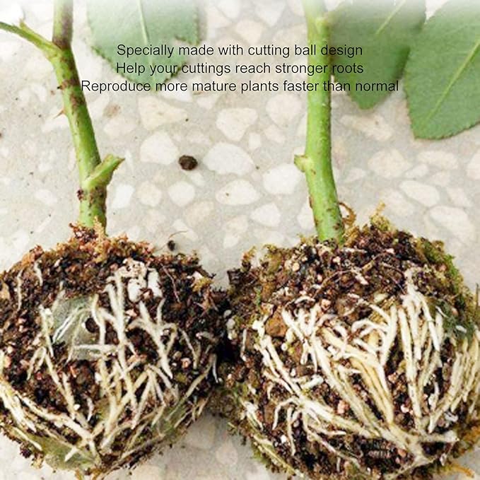 Plant Rooting Device High Pressure Propagation Ball Grafting Box 12cm Black 10 Sets Plastic Garden Tools for Home Gardening Balcony Planting Flower Nursery Strong Durable C