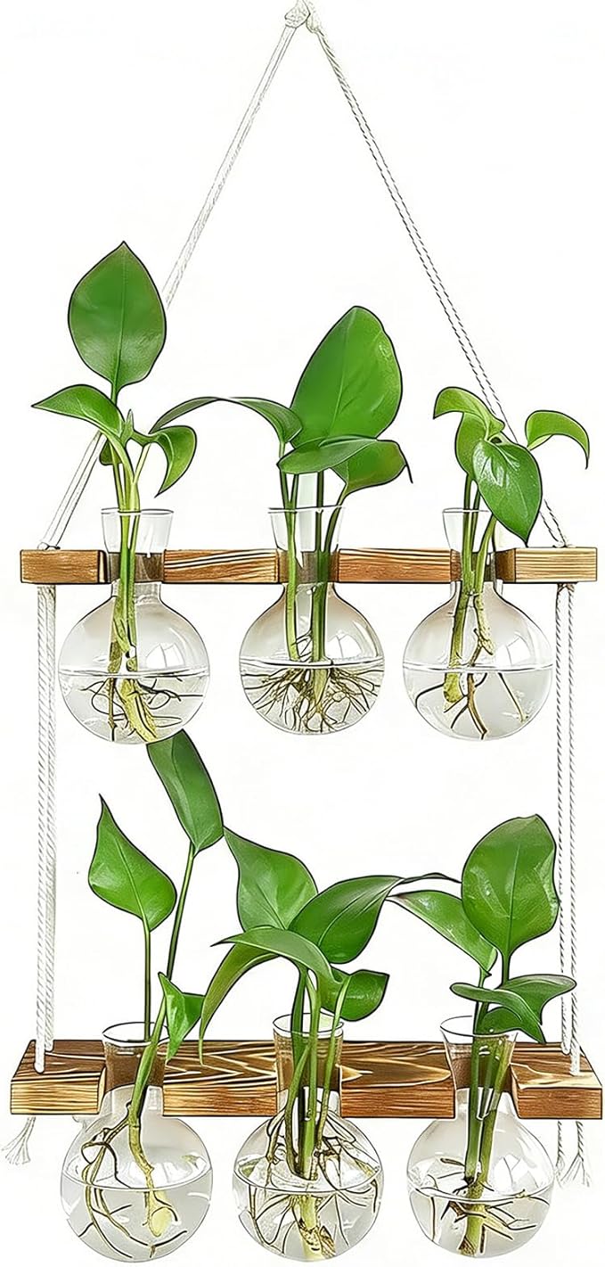 Renmxj Plant Propagation Station Wall Hanging, Plant Terrarium with 2 Tiered Wooden Stand for Hydroponics Plants, Unique Gardening Gifts for Women Mom Plants Lovers - 6 Bulb Glass Vases