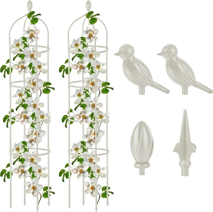 2 Pcs Garden Obelisk Trellis for Climbing Plants Outdoor 6 Ft Rose Bush Round Trellis for Pots Rustproof Metal Pipe with Plastic Coated Plant Flower Trellises for Clematis Vine Jasmine Support