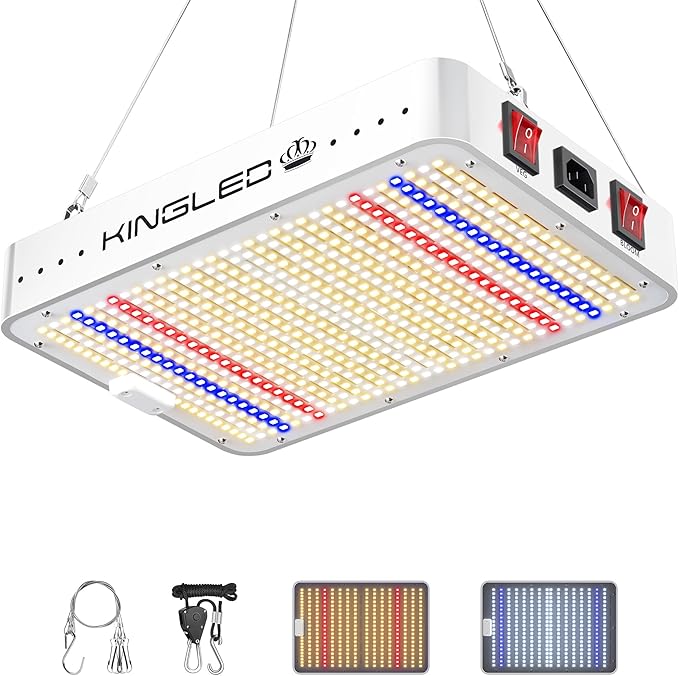 KingLED KP1000 LED Grow Light for Indoor Plants, Full Spectrum Plant Light with Veg & Bloom Mode, 100W Growing Lamp for Seed Starting Seedlings Vegetable Hydroponic Greenhouse, 2x2/2x3 Grow Tent