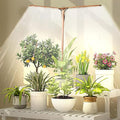 bodkar Wooden Grow Lights for Indoor Plants Full Spectrum, Slim Indoor Plant Growing Light with 6000K White Red LEDs 2-Head (Without Timer/Dimming)