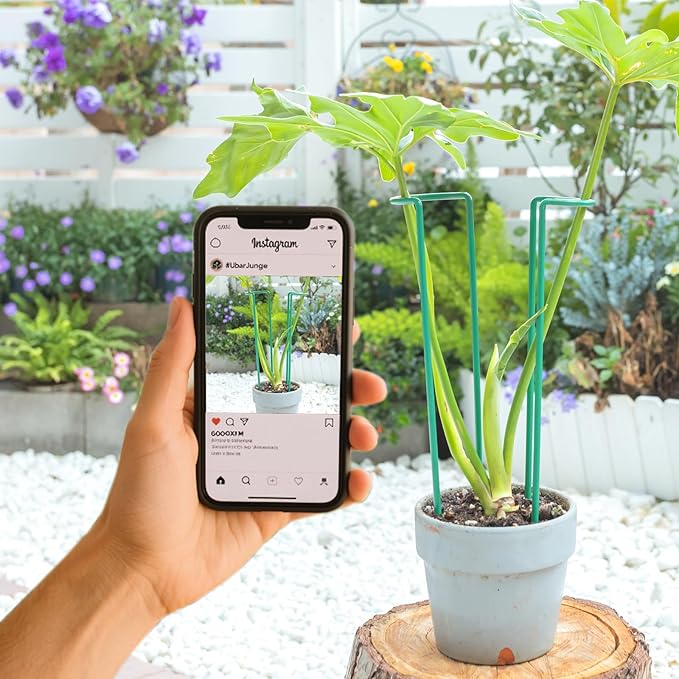 Indoor Plant Trellis Set of 10 - Durable Iron Plant Supports for Monstera and Climbing Plants, Perfect for Indoor & Outdoor Use, U-Shape Design for Garden Decor and Ideal Gift for Plant Lovers