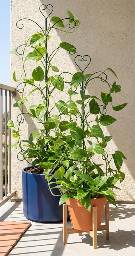 2 Pack Monstera Plant Support Trellis, 31” & 46” Adjustable Steel Plant Stakes for Indoor & Outdoor Use, Plant Trellis for Potted Climbing Plants, Tall Pothos Plant Climber Support for Ivy Pothos Hoya