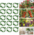 50 pcs Plant Support Clips, Reusable Plastic Garden Clips for Climbing Plants, Trellis Clips for Tomato, Grape Vine and Vegetable Plant Fixing (50, Green)