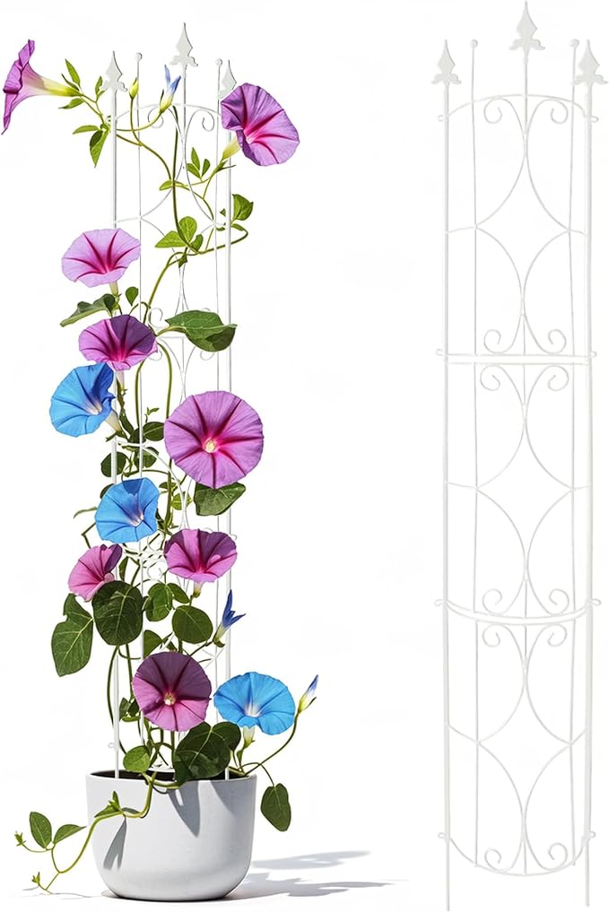 Thealyn Garden Trellis 2 Pack 72'' H x 12'' W Metal Plant Trellis Indoor/Outdoor Metal Garden Trellis Plant Trellis for Potted Plants Climbing Houseplants Flowers