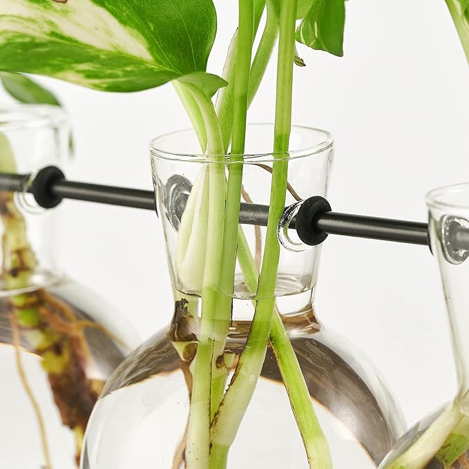 Mkono Plant Propagation Station with Wooden Stand, Wall Hanging Glass Planter Tabletop Terrarium Bulb Vase for Hydroponics Plants Home Office Decor