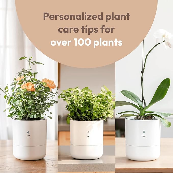 Smart Self Watering Planter with WiFi Bridge & App Control – AI Plant Care System with Sensors, Automatic Watering, Alerts – Modern Indoor Planter for Houseplants