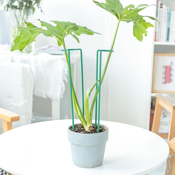 Indoor Plant Trellis Set of 10 - Durable Iron Plant Supports for Monstera and Climbing Plants, Perfect for Indoor & Outdoor Use, U-Shape Design for Garden Decor and Ideal Gift for Plant Lovers