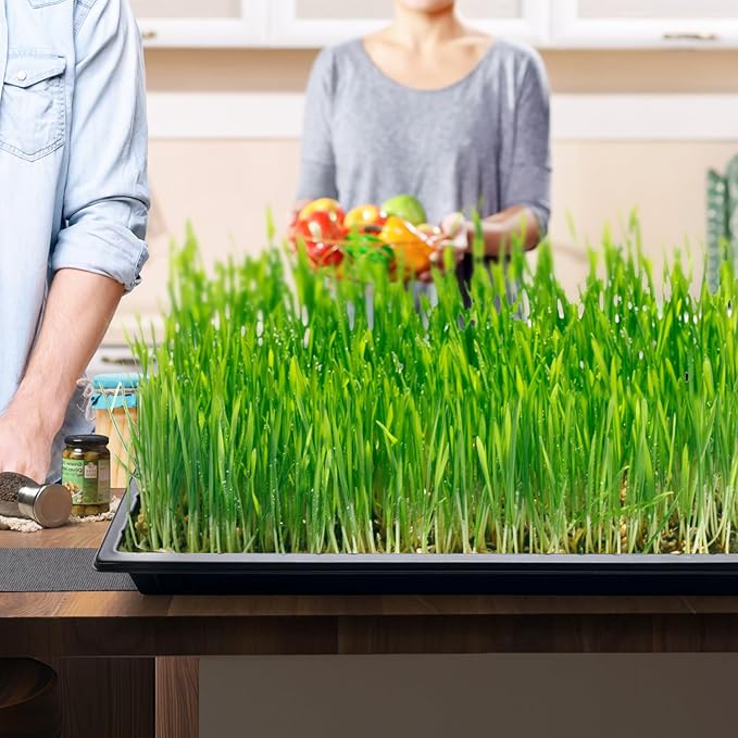 RooTrimmer Growing Trays, 1020 Plant Nursery Trays Heavy Duty Seed Starter Flat Seedling Tray for 72/128 Cell Plug Tray Transplant Growing Microgreens (21"×11", 10 Pack, 1.6" Deep, Without Holes)
