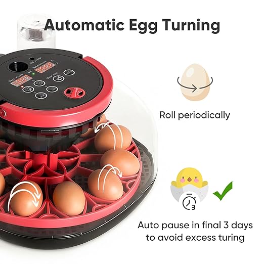Incubators for Hatching Eggs, 12-24 Egg Smart WiFi Incubator with 1080P Camera, App Control, One-Click Incubation for Chicken Quail Duck Pigeon, Auto Egg Turner, External Water Refill, Candler