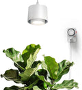Barrina TR40 Hanging Grow Lights for Indoor Plants, 40W 4000K Full Spectrum, Adjustable Beam Angle 15°-60°, Hanging Grow Light with Mechanical Timer and 16.4FT Power Cord, for Garden Greenhouse, White