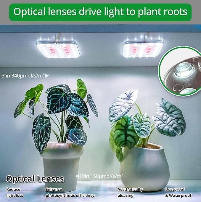 DOMMIA Full Spectrum LED Grow Light for Indoor Plants, 2 Panels 10W with 6/12/16h Timer Dimmable Plant Lights for Flower Veg Plant Growth USB, Daylight White, 1-Pack