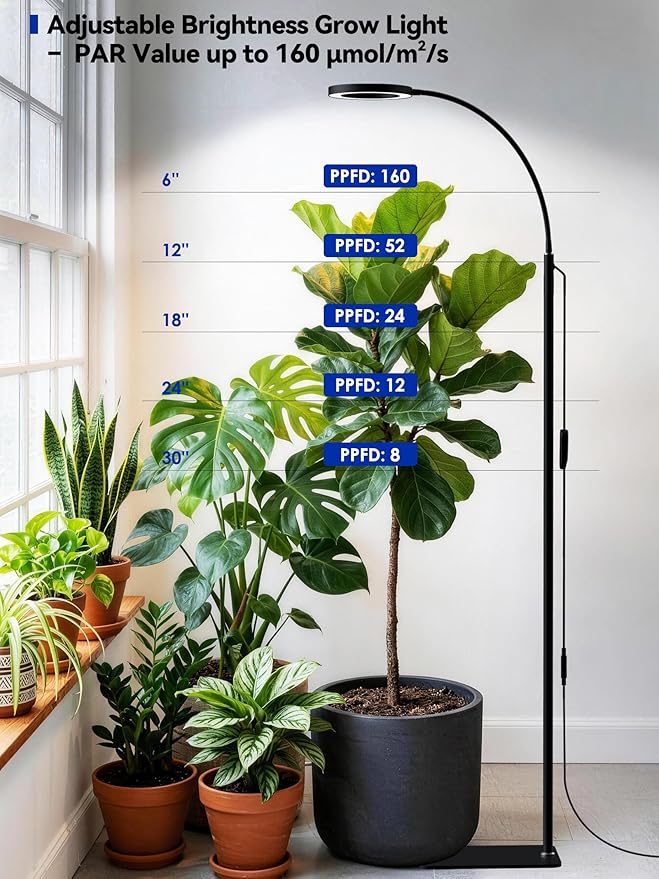 GLOWRIUM Grow Lights for Indoor Plants, Full Spectrum LED Grow Light Floor Lamp with Stand Adjustable Height and Angle, Black Plant Light with 3/9/12H Grow Light Timer (Black, 36W)