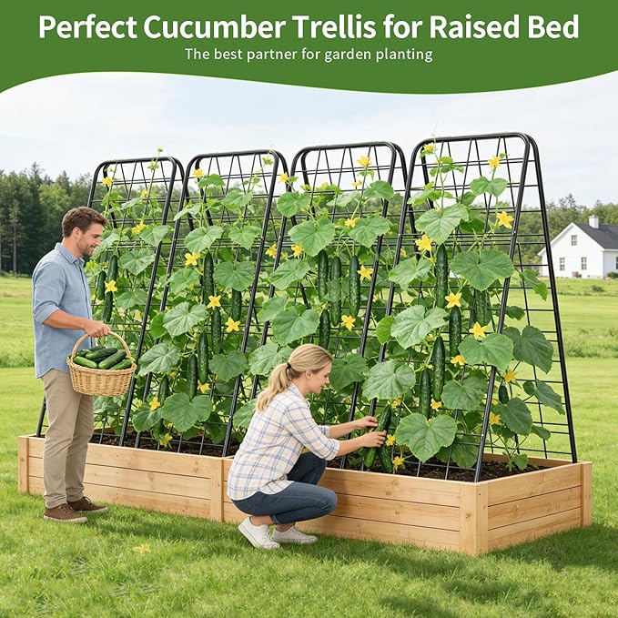 100% Metal Cucumber Trellis for Raised Bed,50"x17" A-Shape Garden Plant Support for Climbing Plants, Heavy Duty Metal Garden Trellises Plant Support for Vine Vegetables Outdoor (Black, 50"x17"(H*W))
