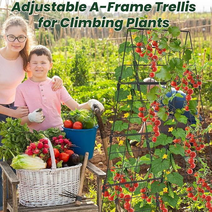 Adjustable A-Frame Trellis for Climbing Plants Outdoor, 48"x16" Cucumber Trellis for Raised Bed, Metal Garden Trellis with Grid Design, Tomato, Grape, Bean, Pea, Squash, Vegetable Trellis (Black)