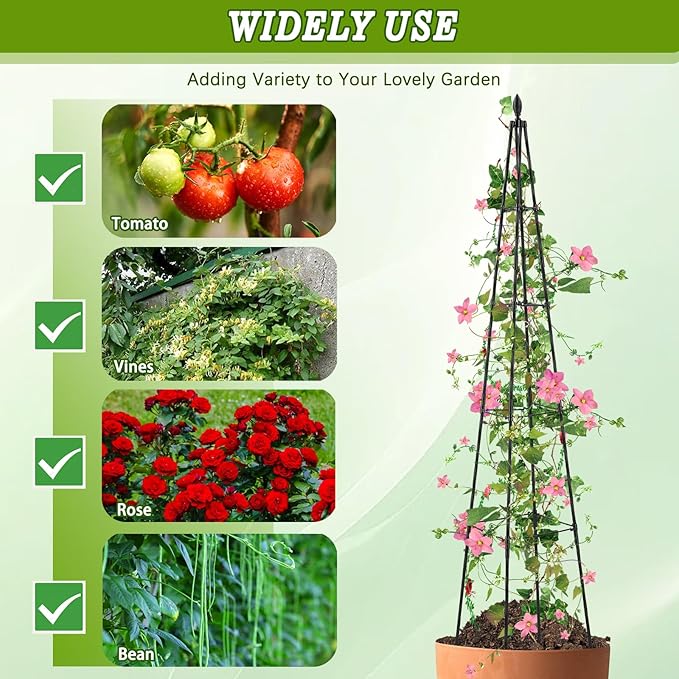 AlisisFores 2 Pack Garden Trellis for Climbing Plants Outdoor,63inch Tall Rustproof Metal Obelisk Trellis Support for Potted Vines Vegetable Plants Indoor Outdoor, Lightweight