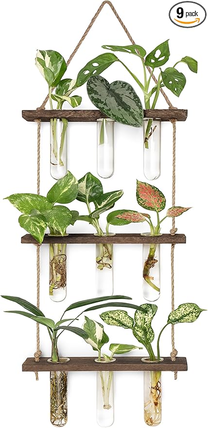 Mkono Plant Propagation Tubes, 3 Tiered Wall Hanging Terrarium with Wooden Stand Flower Vase Test Tube Glass Planter Stations for Hydroponic Cutting Home Garden Office Decor (Brown, Small)
