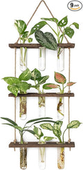 Mkono Plant Propagation Tubes, 3 Tiered Wall Hanging Terrarium with Wooden Stand Flower Vase Test Tube Glass Planter Stations for Hydroponic Cutting Home Garden Office Decor (Brown, Small)